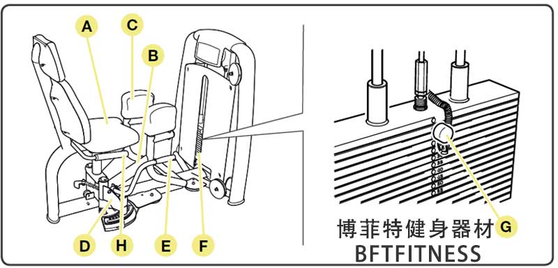 大腿外展外侧肌羞羞视频变态APP入口